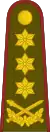 Generolas leitenantas(Lithuanian Land Forces)