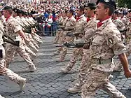 Sassari Brigade, Italian Army