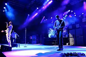 311 performing in 2011