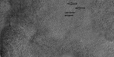 Low center polygons, shown with arrows, as seen by HiRISE under HiWish program Location is Casius quadrangle. Image was enlarged with HiView.