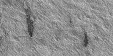 Plumes and spiders, as seen by HiRISE under HiWish program