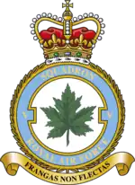 Squadron badge