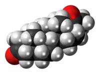 Filled-in diagram of a steroid