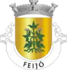 Coat of arms of Feijó