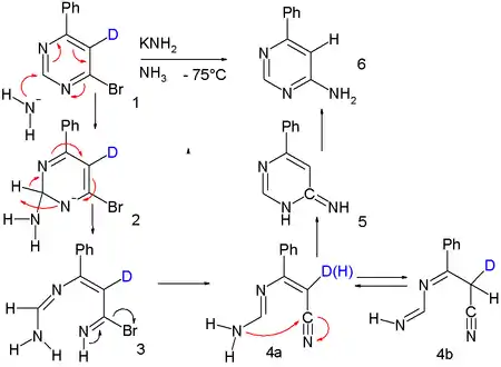 ANRORC isotope labelling