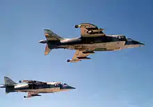 Two Harriers flying