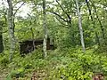 Abandoned berry picker cabin