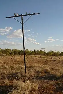 An old wooden telegraph pole standing in a semi-desert grassland plain with low scrub in the distance