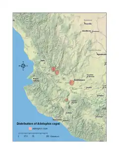 Map of western central Mexico, showing a highlighted range (in red) covering four small areas in Jalisco