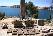 Adobe bricks drying in the sun.