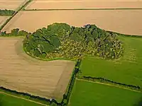 Aerial view of a copse of woods on a hilltop, surrounded by ploughed fields