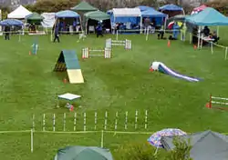 Agility field right side: The right side of the same agility field showing (clockwise from foreground) the weave poles, the pause table, the A-frame, two winged jumps, the collapsed tunnel (or chute), and a wingless jump. Numbered orange plastic cones next to obstacles indicate the order in which the dog must perform them.