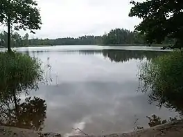 A lake surrounded by trees