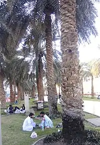 Al Muteena Park in Al Muteena