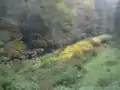 Widening of the Alb gorge at Tiefenstein