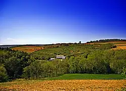 A farm in Albany Township