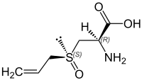 Alliin, a sulfur-containing compound found in garlic.