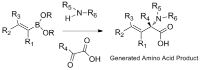 Alpha amino acid synthesis