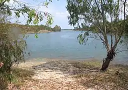 View from the south shore looking east