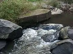 Amanzimtoti River at Ilanda Wilds