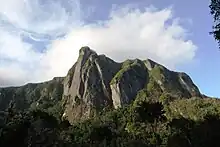 A steep cliff partly blanketed in forest looms over the forests below.