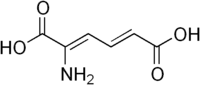 Skeletal formula of 2-aminomuconic acid