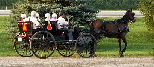 Open buggy, typical for the Swiss Amish