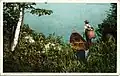 A postcard with an illustration of a man carrying a pack basket, standing alongside a canoe at the shore of a lake.