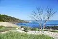 Angourie beach, Australia