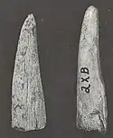 Antler projectile points