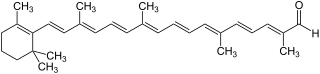 Skeletal formula of apocarotenal