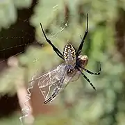 Northern Territory, Australia