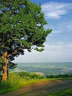 A view of the township from Tioga State Forest