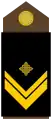 Nadnarednik(Croatian Army)