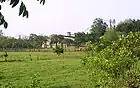 Old rice fields in El Desengaño