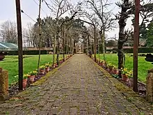 The Kitchen Garden Apple Pergola