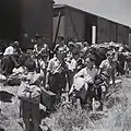 Young Holocaust survivors arriving at Atlit, 1945