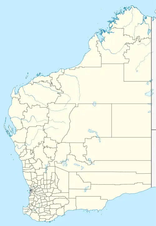 Great Central Road is located in Western Australia