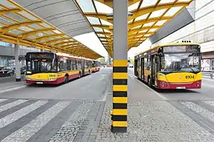 Buses