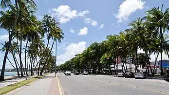 Entrecoqueiros Avenue