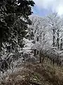 At Mount Azami (03/2009)