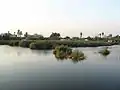 Natural lake in Aziz Bhatti Park