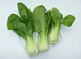 Shanghai bok choy