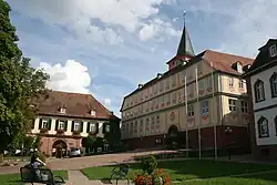 Old Castle in Bad König