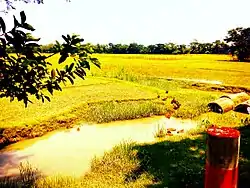 Skyline of Badurtala.