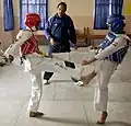 Taekwondo Classes