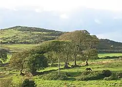 Middle Third countryside, Ballyscanlon