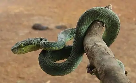 In Raajmachi, Lonavala