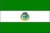 Flag of Itapirapuã