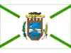 Flag of Dois Vizinhos